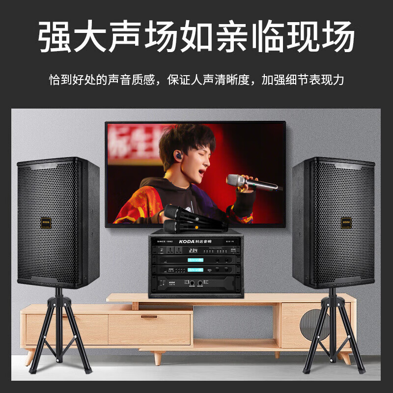 Qisheng プロフェッショナルワイヤレスマイクホーム 1 対 2 マイク ktv ステージパフォーマンス会議マイクマイク|undefined