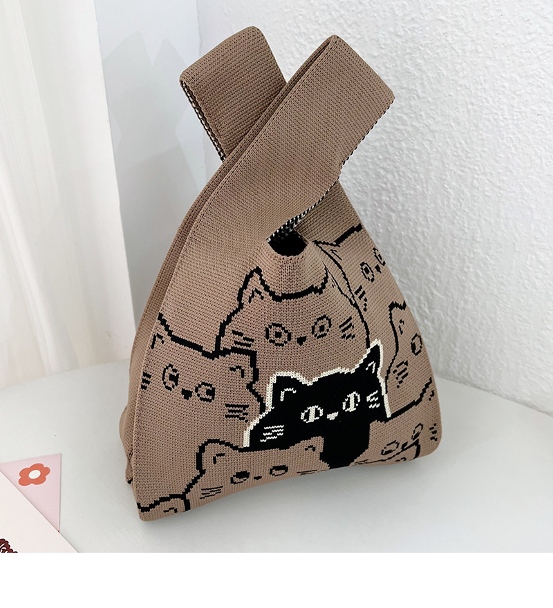 갈색 고양이