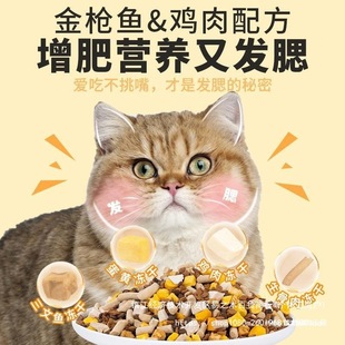 ����؈�Z��؈10���bȫ�r��؈�������ʠI�B�l���������{؈��ż؈ѩ