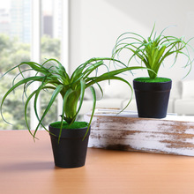 �Gֲ�՚��bҾӼt�����½�������С��ˇС��������[�Ų�С