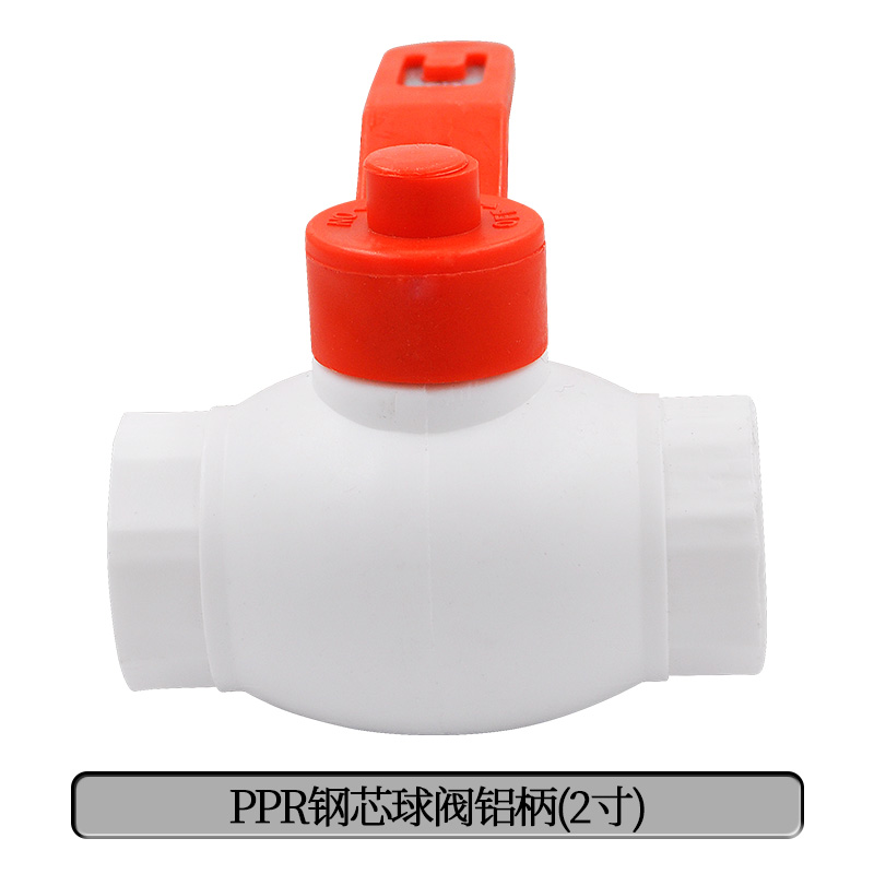 Válvula de bola de acero de doble articulación PPR válvula de bola de doble articulación totalmente de plástico válvula oculta 204 minutos válvula PPR accesorios de tubería de agua image 67