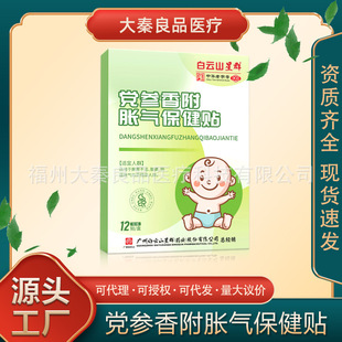 Baiyunshan Xingqun Codonopsis and Angelica Carum Health Care Patch Source Factory Dropshipping