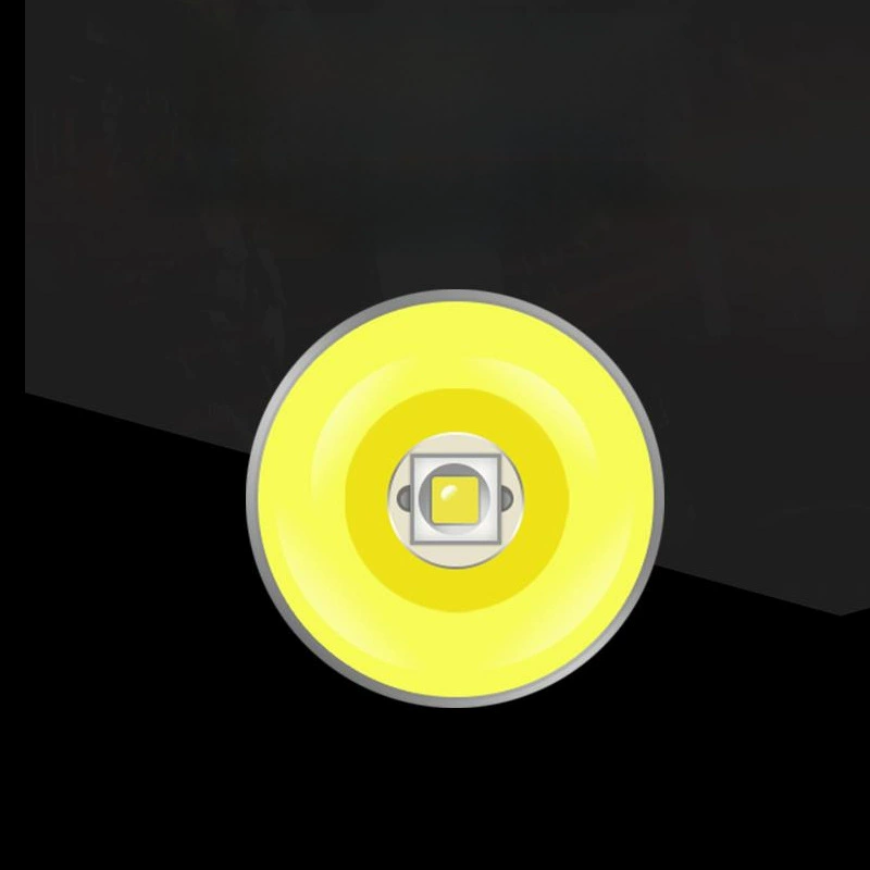 Smart induction LED handheld travel lantern