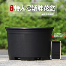 �ڼӁ������ش�̖����@ˇ��Ʒ��ݮ���¼���ͨ���ͼӁ���Gֲ����