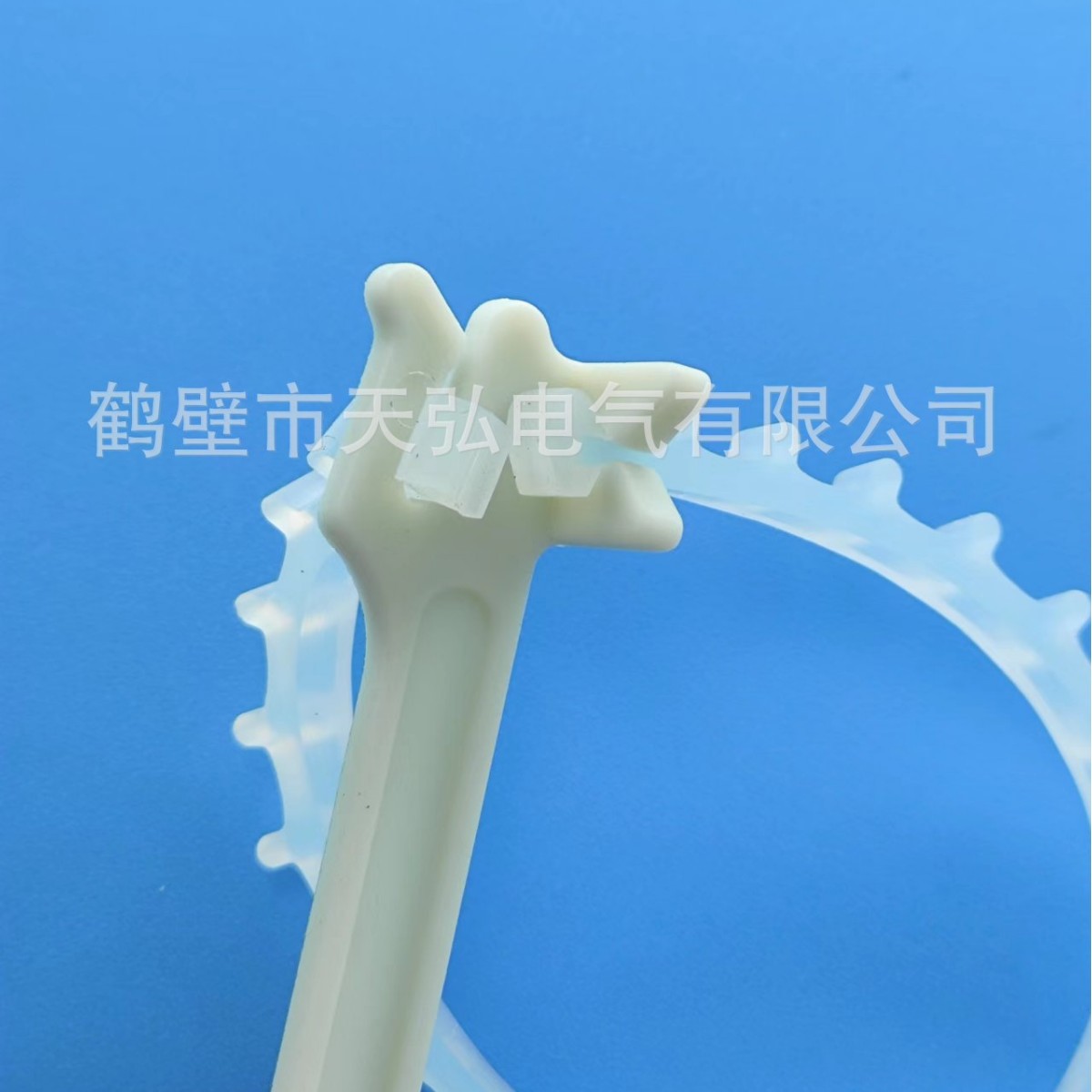 2024-10-06 08:42:36.jpg