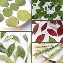 Ѻ���˱�����~�O������߅�S��Сõ���~�f�۾�ǧ�ӽ����ľ�{ݮ�~