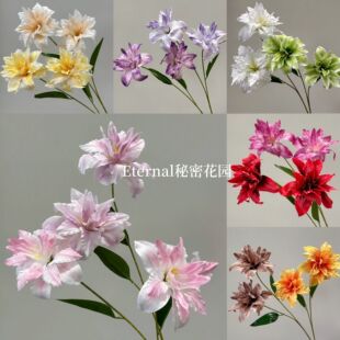 ���滨�ذ�ٺϻ��߼����ͮ��ٺϻ�c�û��ٻ���Y��ˇ�廨����