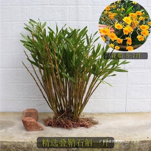 �B�ʳ�ˮ�S�Ȼ�ɽ���O�m���Ĵ��A���FƤ�m��ʯ�������Ԫ�������