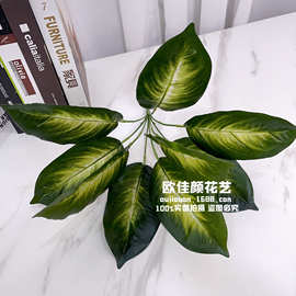 厂家直销 仿真植物 塑料假花 植物墙配材 过胶手感叶 万年青 绿萝