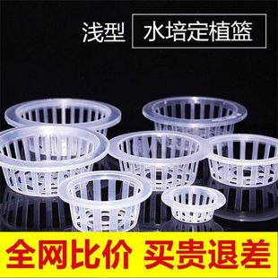 ���趨ֲ�@ˮ��ֲ�ﲣ����ƿ�G�}�@�o�����໨�ܜ\�͹̸���