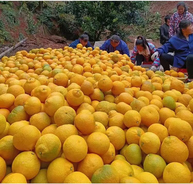 微信图片_20231222213044