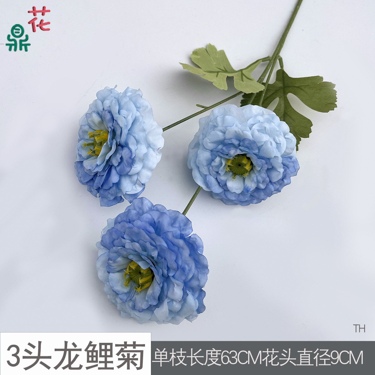3등룡 잉어 국화 TH 블루