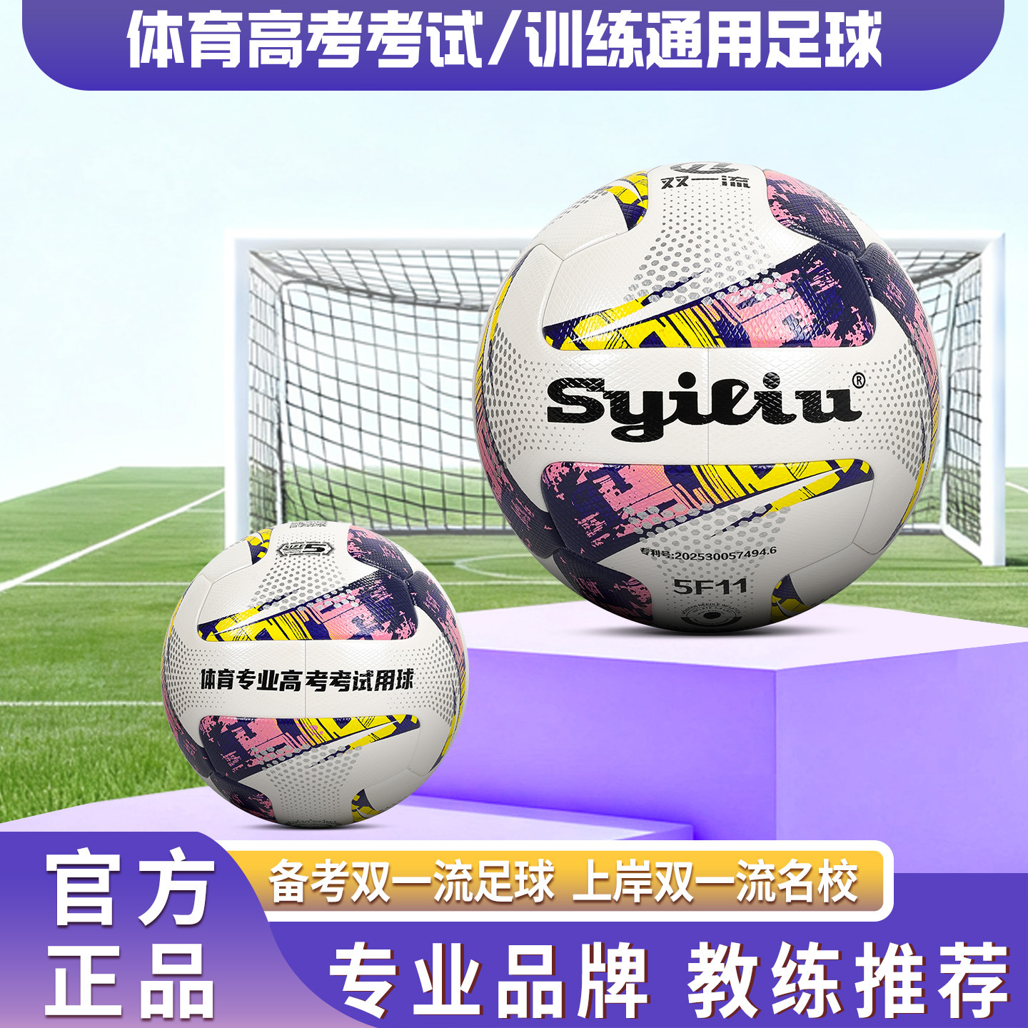 Double First-Class Sports College Entrance Examination Single Enrollment High School Entrance Examination Football No. 5 High School Student Youth Examination Training Game Football