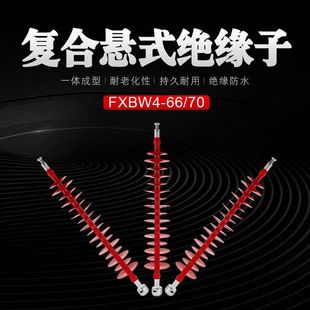35Kv Composite Rod-Shaped Suspended Insulator Fxbw4-35/70 Outdoor High Voltage Fxbw4-35/100 Insulator