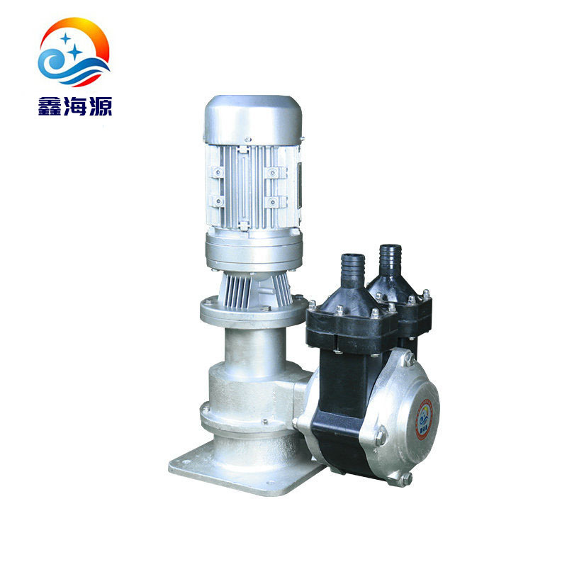 厂家供应电动双隔膜泵 立式塑料隔膜计量泵