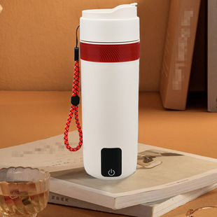 Portable Water Cup for Travel, Smart Constant Temperature Heating Water Cup, Insulated Water Cup, Electric Heating Constant Temperature Insulated Water Cup