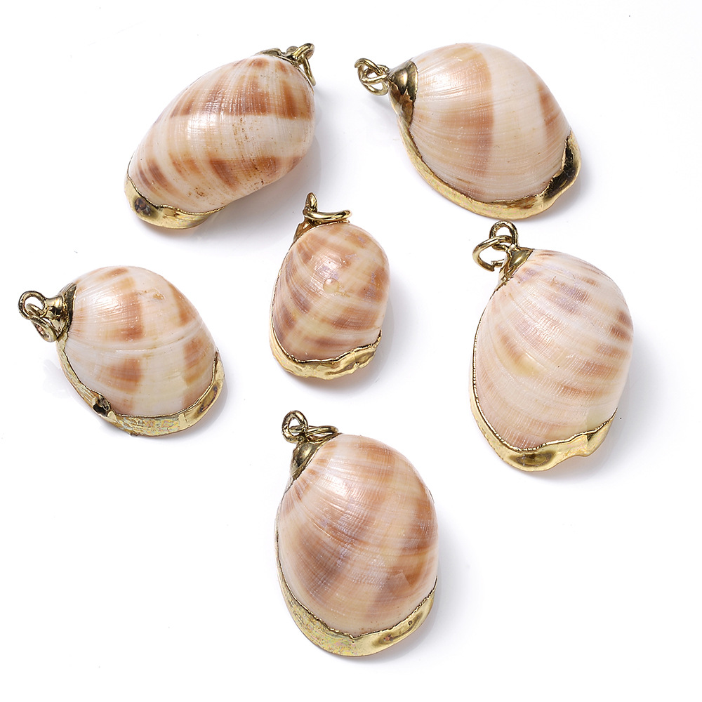 5 PCS/Package Shell Conch Shell Pendant display picture 9