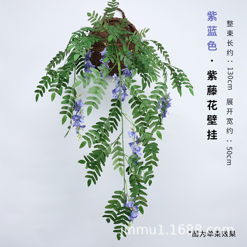 등나무 보라색 블루