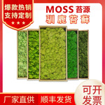 永生苔藓驯鹿苔藓仿真苔藓白发藓防火阻燃鹿蕊藓永生花青苔绿植墙