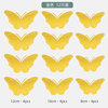Three dimensional layout with butterfly on wall, decorations, in 3d format, Amazon