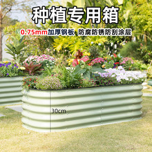 ���ٷNֲ������̨����ͥԺ��픷N���˴�ģ�K���M�ϻ��軨������