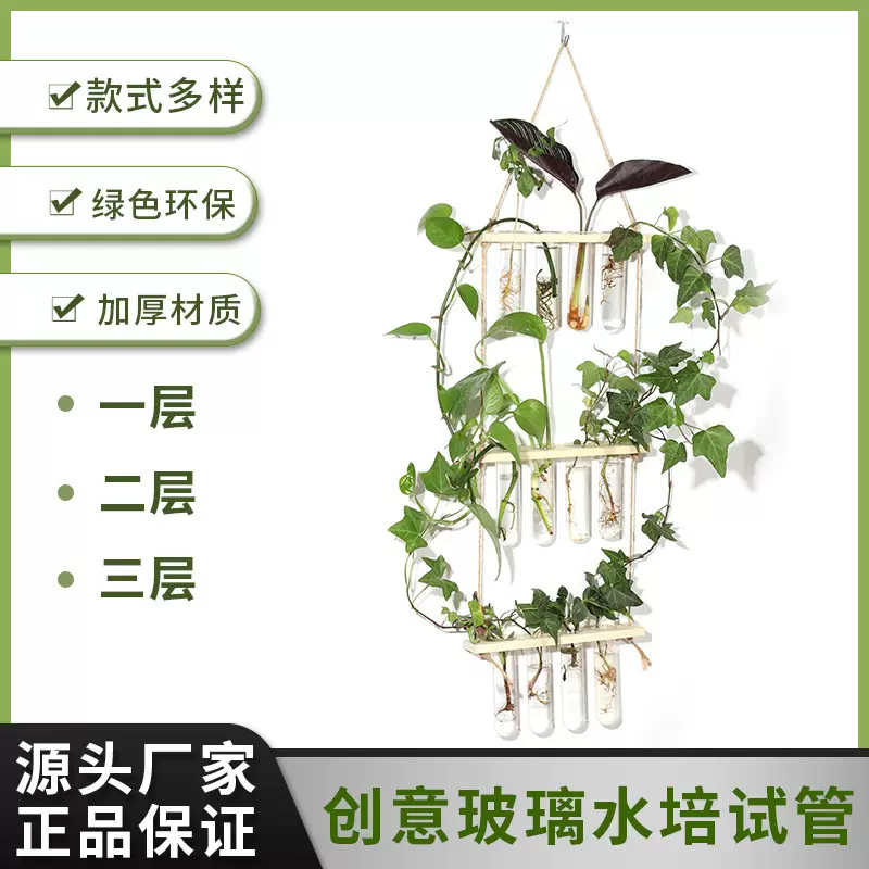 挂壁绿植装饰品悬挂式木架试管玻璃花瓶水培植物容器创意家居