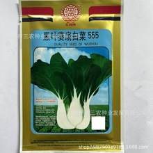 ƺ~555ײ-~ˈ@ԺӷNֲ߲˷NlSֱN