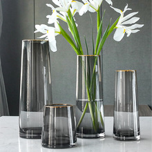 花瓶摆件客厅插花玻璃透明北欧创意简约网红花瓶轻奢花瓶水养冠腾