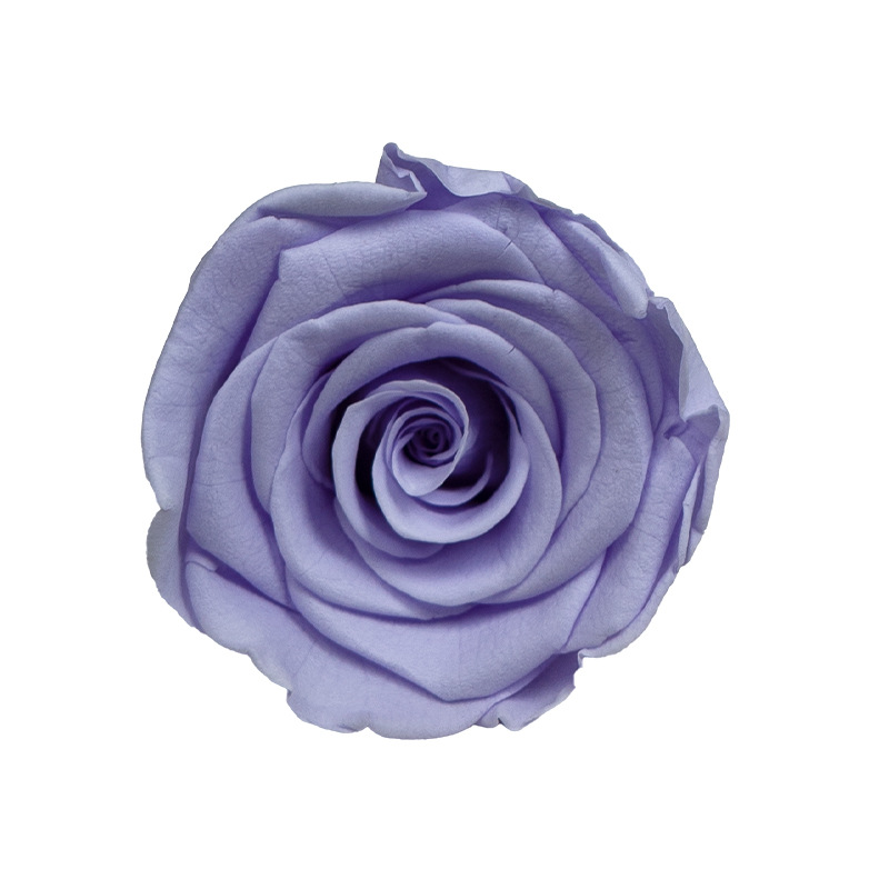 4-5cm 8 Flores, grado B DIY flores eternas, rosas eternas, Yunnan Kunming al por mayor, flores preservadas