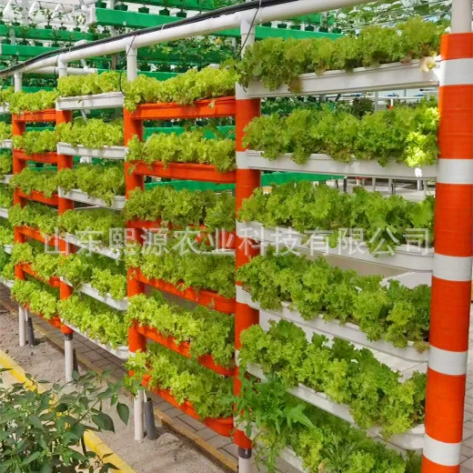 Three-dimensional Hydroponic Plant Wall System, 85×23×12 cm, soilless leafy-vegetable rack