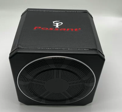 Haoke 21M1-1010As Professional Car Audio 10inch Subwoofer Car Speaker (Car speaker/subwoofer) - 10-inch-two-speakers-wired-control