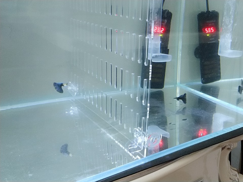 亚克力鱼缸隔离板可剪裁透明挡板隔层板网格分离板水箱隔断