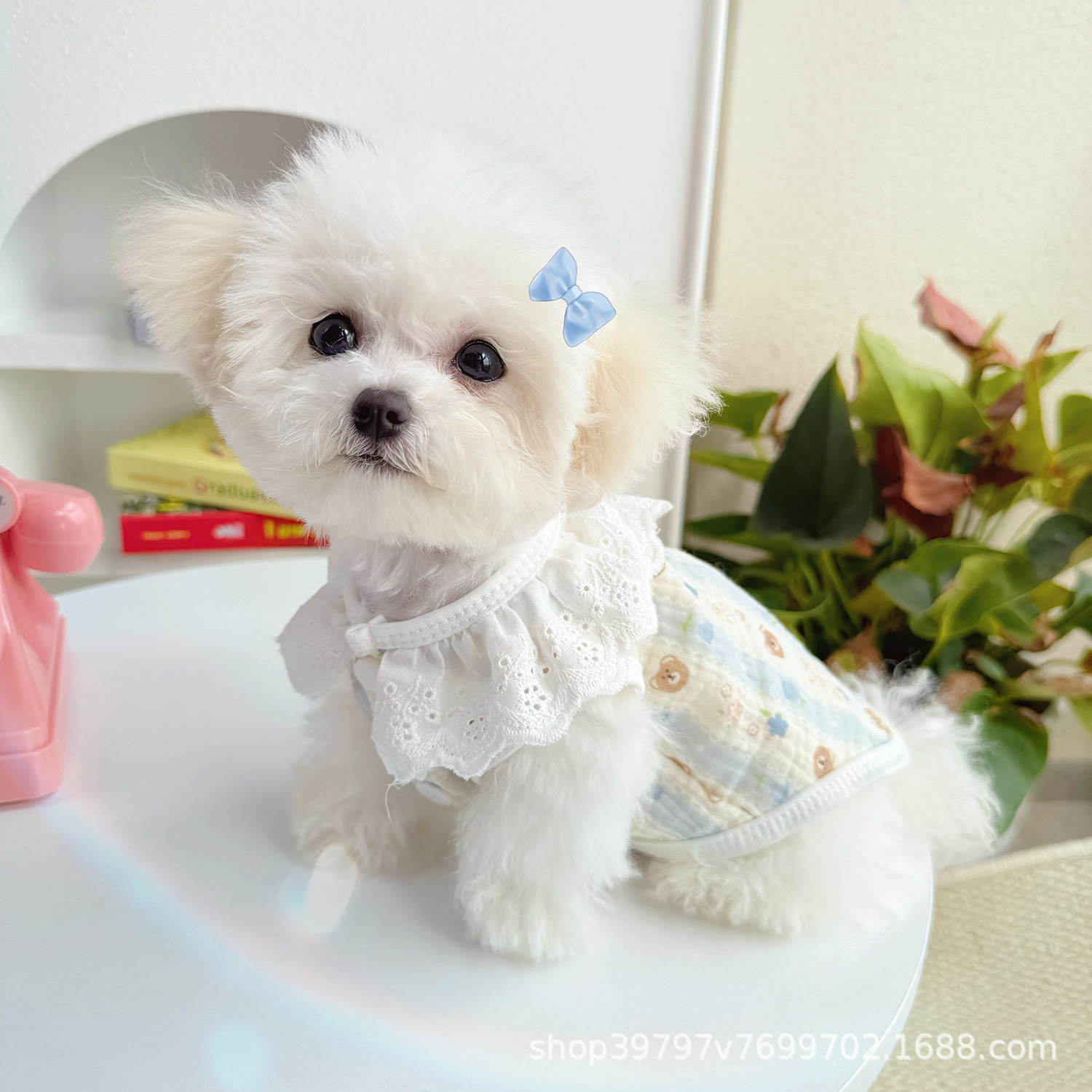 애완동물 면사 통기성 얇은 개와 고양이 애완동물 고양이 옷 개 용품 가정용 에어컨 옷 외부 착용 가능