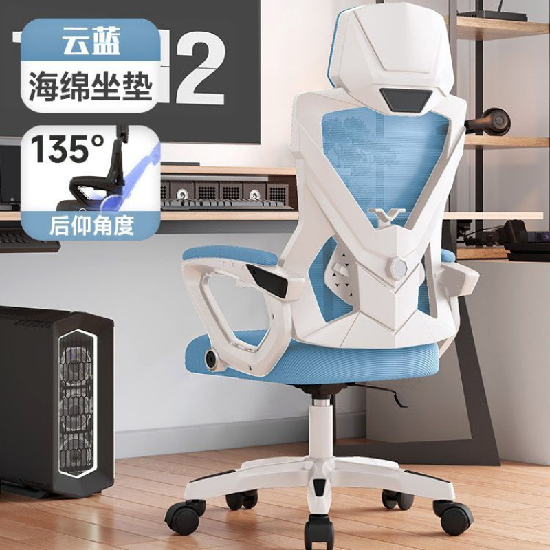 업그레이드 모델 [화이트 프레임 블루 메쉬] + 조절 가능한 허리 지지대