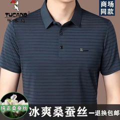 キツツキ高級绢糸半袖tシャツ男性夏ストライプ襟氷糸半袖tシャツ上着