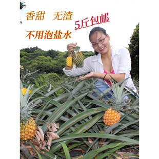 ������ɽ�񞳲��}5�＃���͵�ˮ����̩��С���}������ˮ�P��