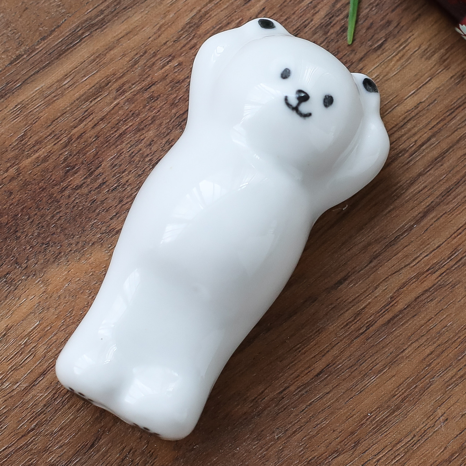 하늘을 향한 작은 흰곰 F13