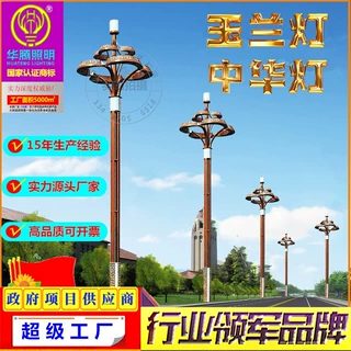 定制组合中华灯玉兰灯6米8米12米15米户外防水停车广场照明景观灯