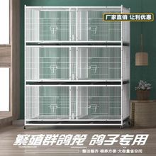 鸽子配对笼养殖加密带食槽水槽鸽子笼防老鼠黄鼠狼室内外展示笼子