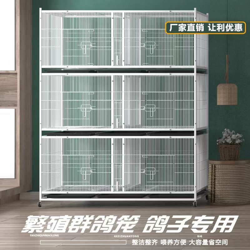 鸽子配对笼养殖加密带食槽水槽鸽子笼防老鼠黄鼠狼室内外展示笼子