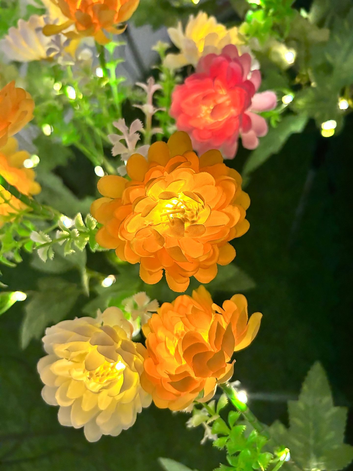 오렌지 1~5개 + 노란색