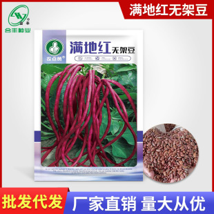 �M�ؼt�o�ܶ��ǷN�� �ϼt�����N���ļ������r���߲˷N�ݏS�����l