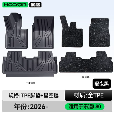 Modelə uyğun ayaqaltı — New Model Car Interior Floor - ledao-l80-26-models-five-seats-double-layer-foot-pad-black-tpe-thickened-black-starry-sky-blanket-starry-sky-cover