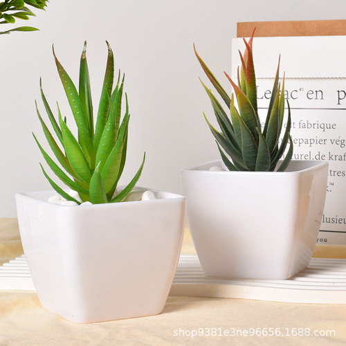 Imitation white porcelain thick succulent plant potted flower pot simple white plastic pot imitation plant desktop decoration decoration pot