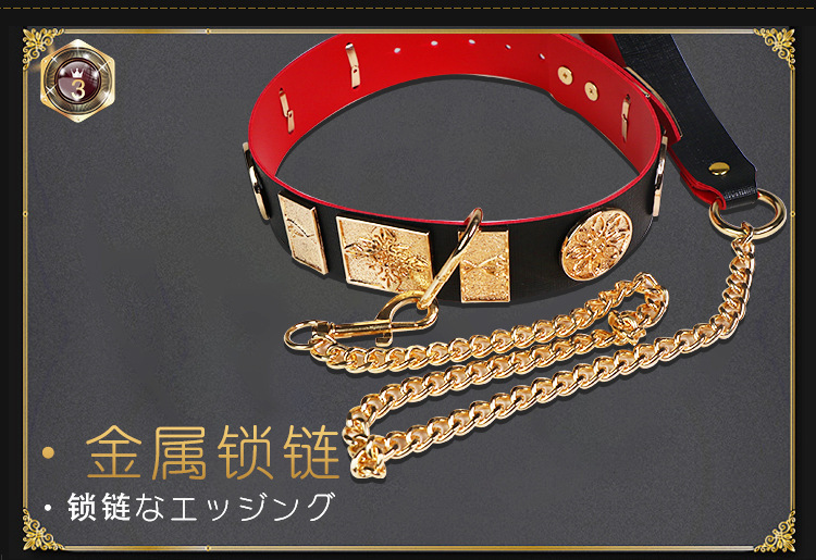 Jiuai SM Flying Fish Collar and Chain Set with Metal and Leather Bondage Accessories — detail image 9