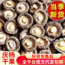 l 㹽Ź_Ģʳþɽ񽡿ަ