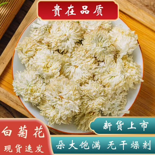 �׾ջ���ș�ľջ���500�˾��x�S�׾�ؕ�վջ��躼�׾պ��׾ջ���