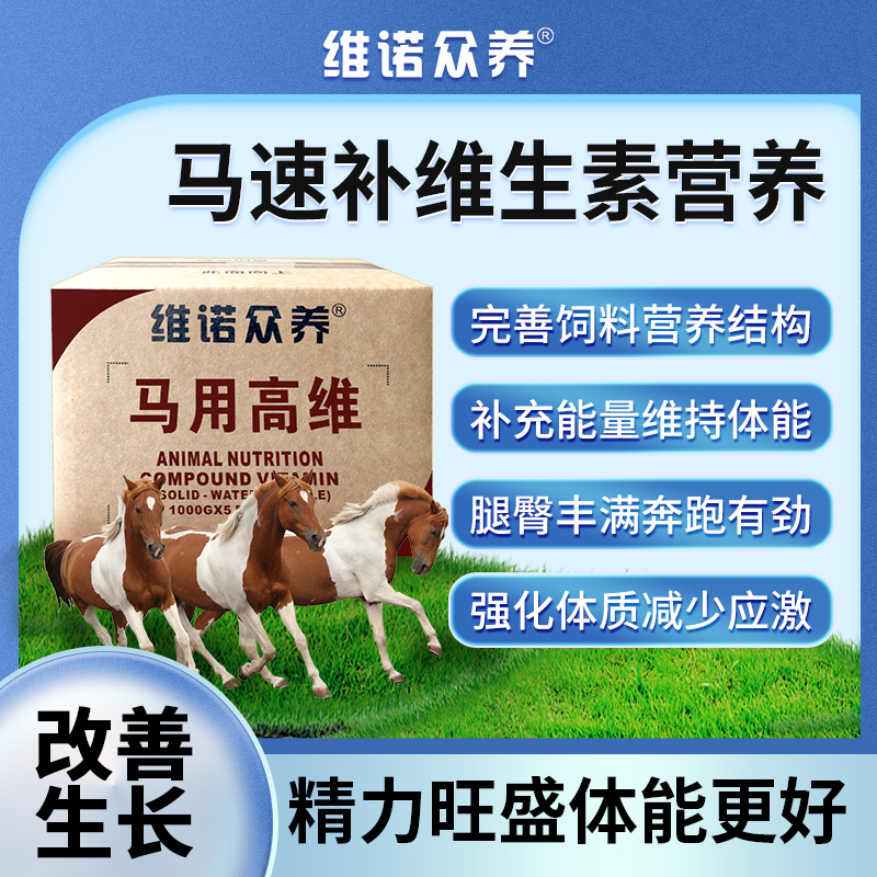 马用高维 维生素预混料完善营养补充体能赛马多维饲料添加剂