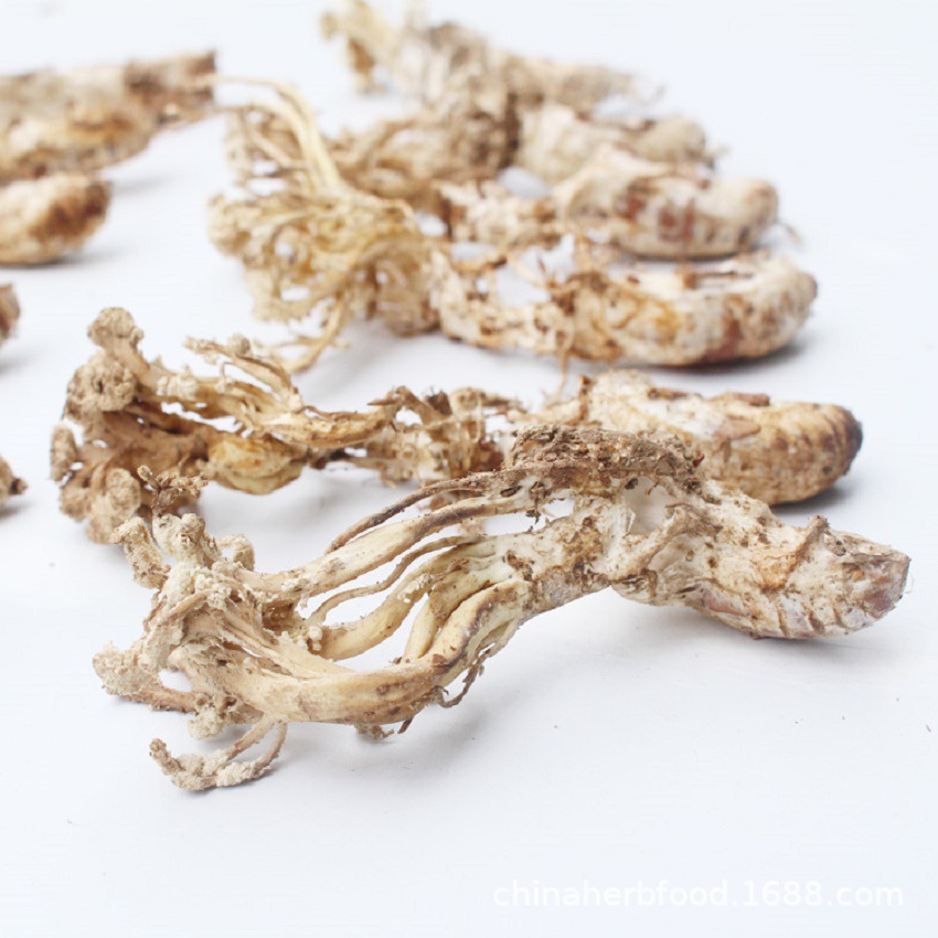 Golden Cicada Flower Powder Jin Chan Hua Fine Ground Herbal Powder 50g Yunnan Dried Cordyceps Fungus quality and texture