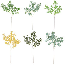 �羳�����ȼ��� �Ҿ��b���k���������bƵ�Gֲ�����Gɫ����